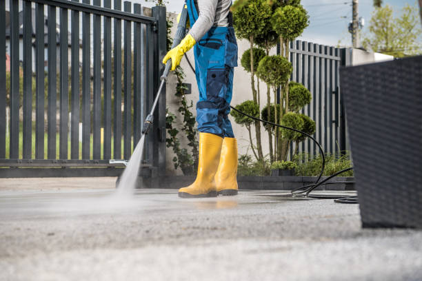 Best Roof Washing  in Muscle Shos, AL